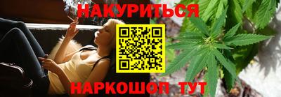 индика Кудрово