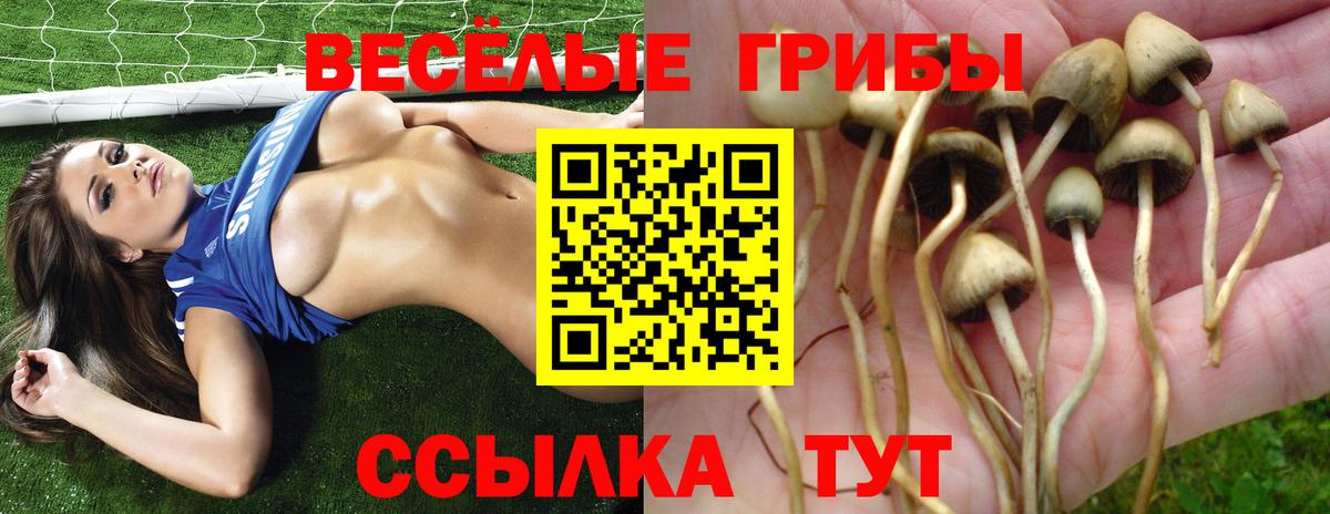 Псилоцибиновые грибы Psilocybe  Вход с VPN  дарнет шоп  Кизляр 